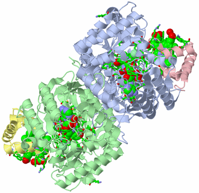 Image Asym./Biol. Unit - sites