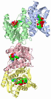 Image Biological Unit 1