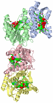 Image Biol. Unit 1 - sites