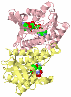 Image Biological Unit 2