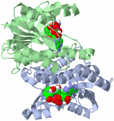 Image Biological Unit 3