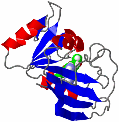 Image NMR Structure - model 1