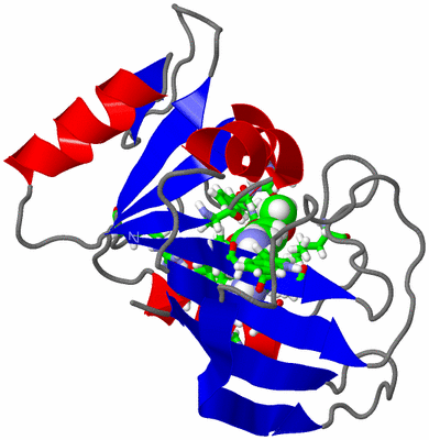 Image NMR Structure - model 1, sites