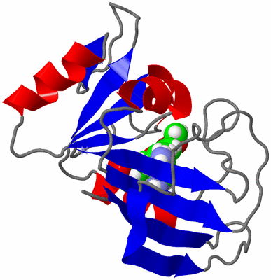 Image NMR Structure - model 1