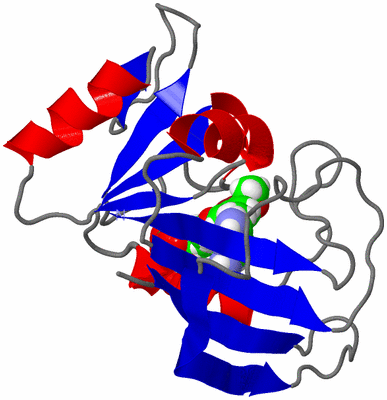 Image NMR Structure - all models