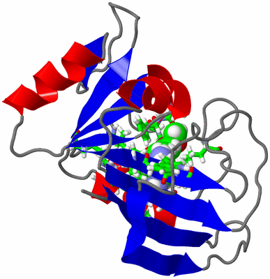 Image NMR Structure - model 1, sites