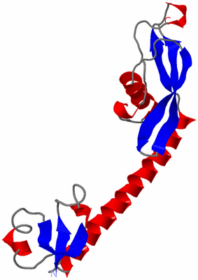 Image Asymmetric Unit