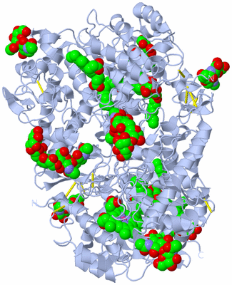 Image Biological Unit 2