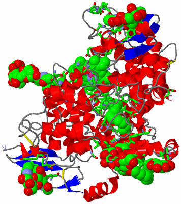 Image Asym. Unit - sites