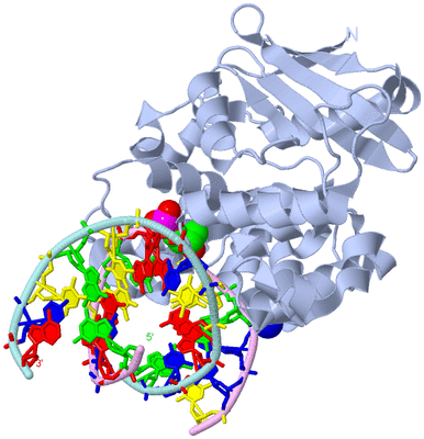 Image Biological Unit 1