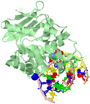 Image Biological Unit 2