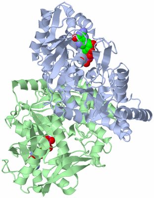 Image Asym./Biol. Unit