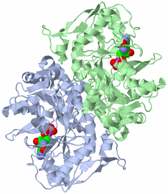 Image Asym./Biol. Unit