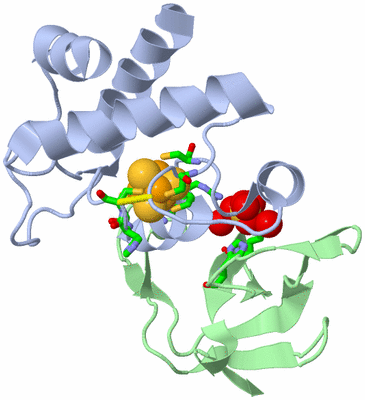 Image Asym./Biol. Unit - sites