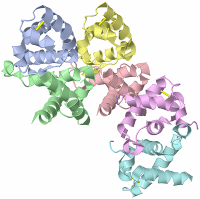 Image Asymmetric Unit