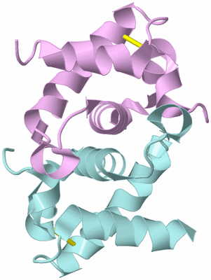 Image Biological Unit 3