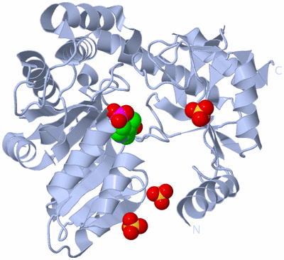 Image Biological Unit 1