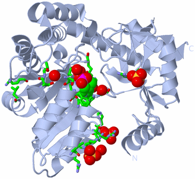 Image Biol. Unit 1 - sites