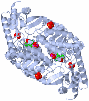 Image Biological Unit 2