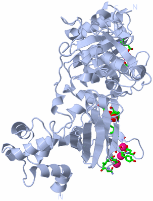 Image Biol. Unit 1 - sites