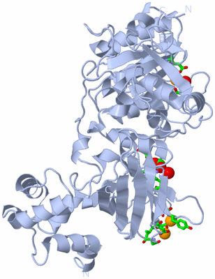 Image Biol. Unit 1 - sites