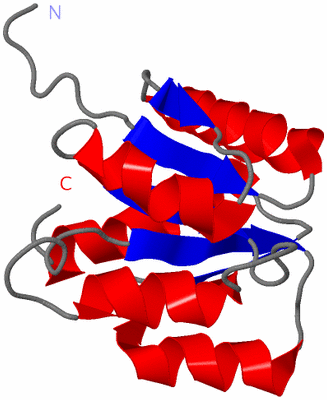 Image NMR Structure - model 1