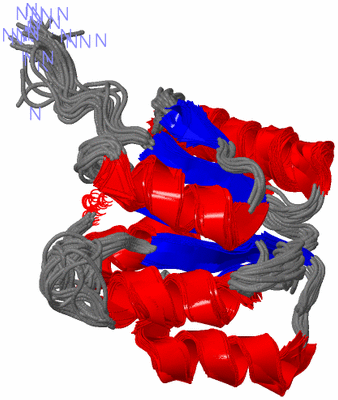 Image NMR Structure - all models