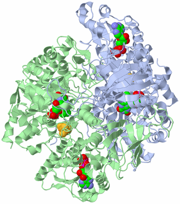 Image Asym./Biol. Unit