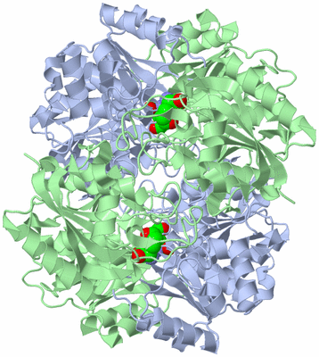 Image Biological Unit 1