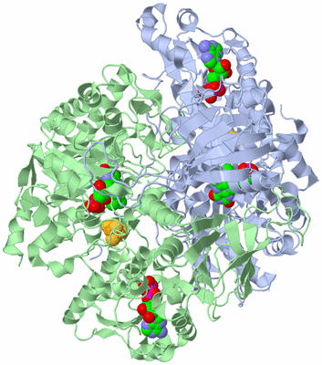 Image Asym./Biol. Unit