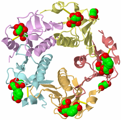 Image Asym./Biol. Unit