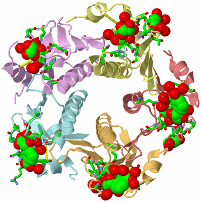 Image Asym./Biol. Unit - sites