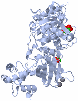 Image Biological Unit 1