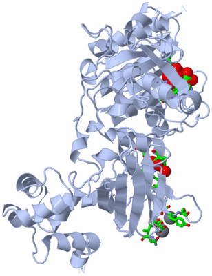 Image Biol. Unit 1 - sites