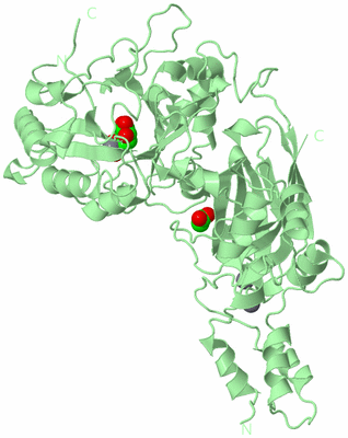 Image Biological Unit 2