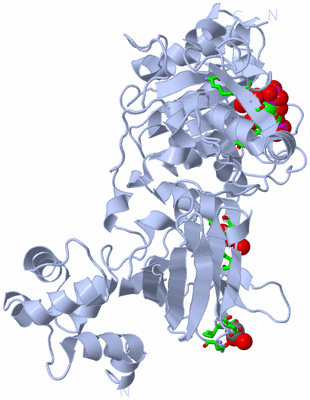 Image Biol. Unit 1 - sites