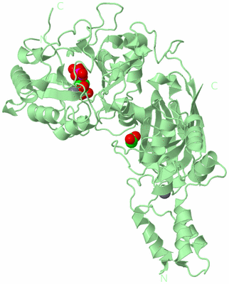 Image Biological Unit 2