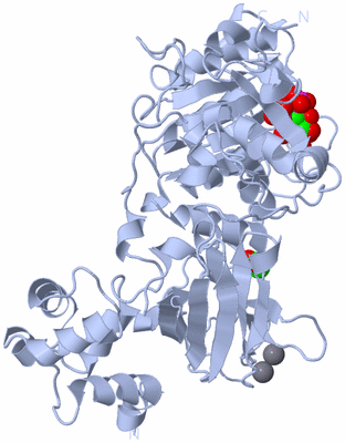 Image Biological Unit 1