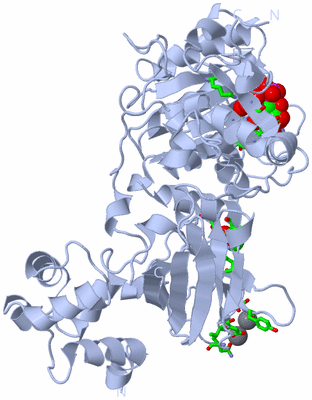 Image Biol. Unit 1 - sites