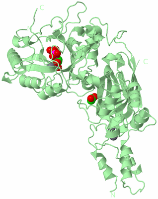 Image Biological Unit 2