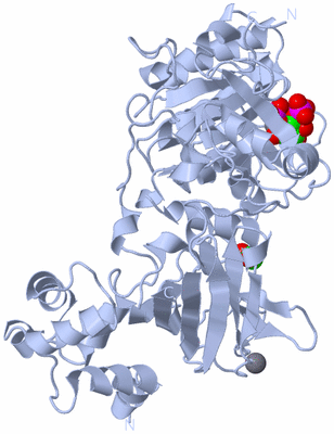 Image Biological Unit 1