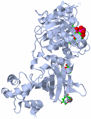 Image Biol. Unit 1 - sites