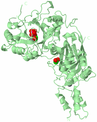 Image Biological Unit 2