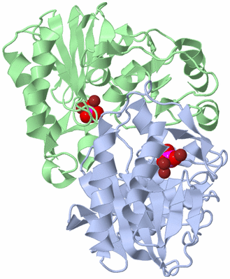 Image Asym./Biol. Unit