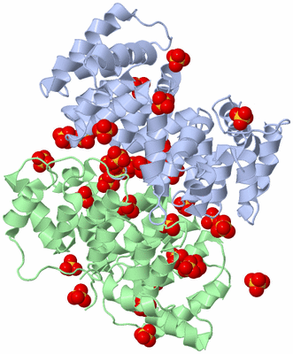 Image Biological Unit 3