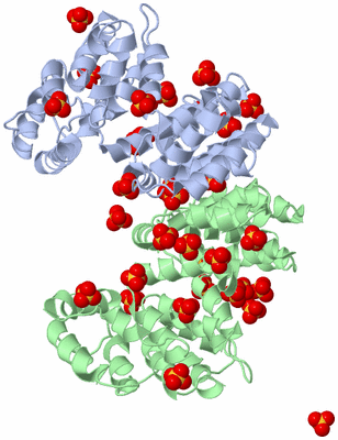 Image Biological Unit 4