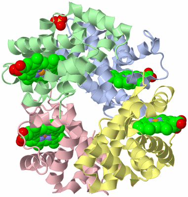 Image Asym./Biol. Unit