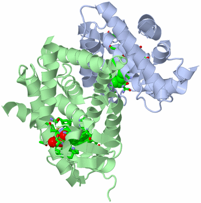 Image Asym./Biol. Unit - sites