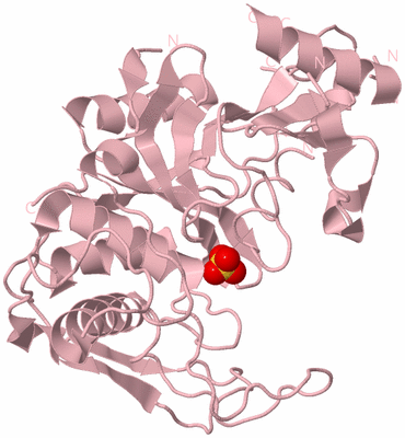 Image Biological Unit 3