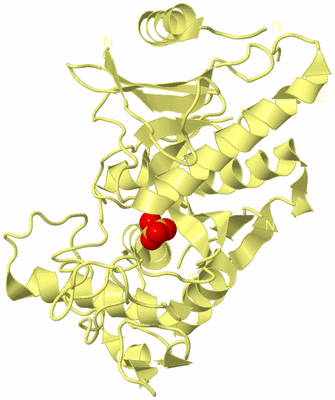 Image Biological Unit 4